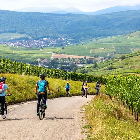 Hébergement de vacances Charmante Maison Familiale Sur La Route Des Vins D'alsace Orschwihr