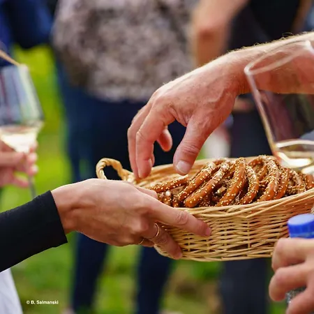 Charmante Maison Familiale Sur La Route Des Vins D'alsace Holiday home