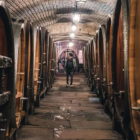 Charmante Maison Familiale Sur La Route Des Vins D'alsace *