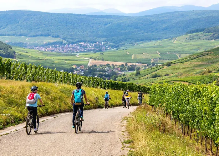 Ferienhaus Charmante Maison Familiale Sur La Route Des Vins D'alsace Orschwihr