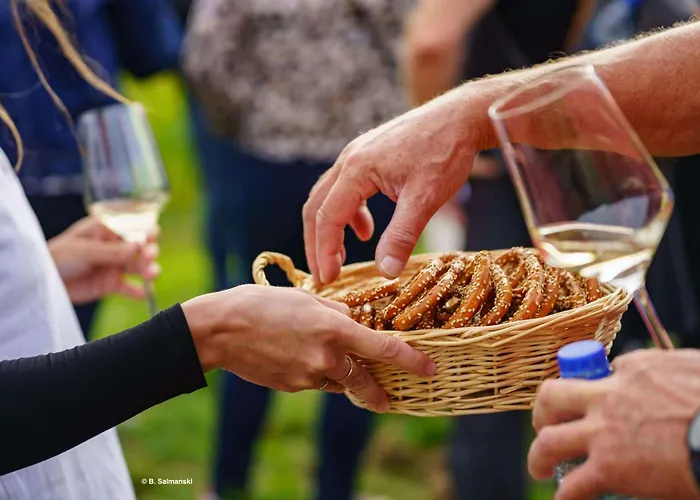 Charmante Maison Familiale Sur La Route Des Vins D'alsace Ferienhaus
