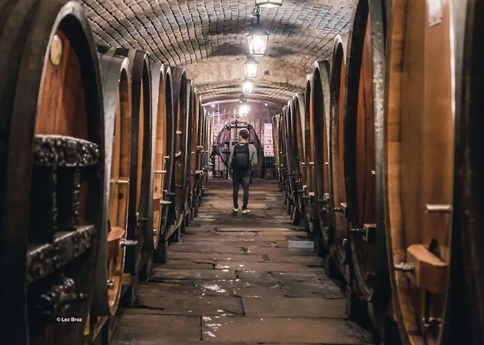 Charmante Maison Familiale Sur La Route Des Vins D'alsace *